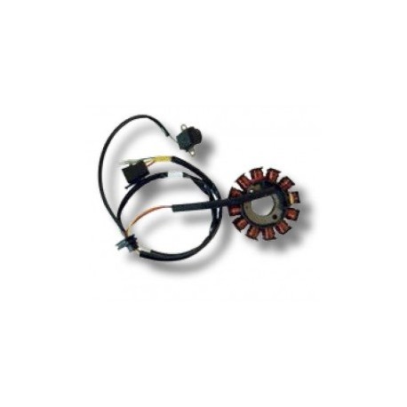 Stator Kymco People S 125/200, Malaguti Ciak 125/200 Master Euro 3