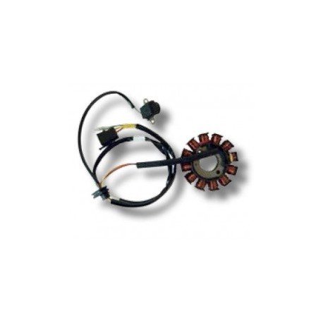 Stator Kymco People S 125/200, Malaguti Ciak 125/200 Master Euro 3