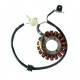 Stator Yamaha T-Max 500 (01/03). Carburador