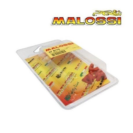 Juego guias variador Malossi Multivar 2000 Rodillos pequeños (16x13)