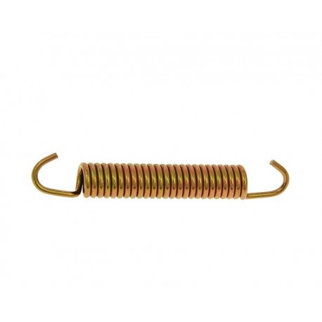 Muelle largo escapes Yasuni Scooter