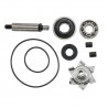 Kit reparación bomba de agua Honda PCX 125