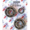 Kit cojinetes y retenes Top Cigueñal Yamaha Majesty 125/150/180, Maxter, Teo´s