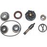 Kit reparación bomba de agua motores Piaggio 250/300 Euro 3