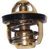 Termostato Motores Piaggio 125/200/250/300c.c