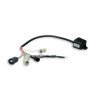Centralita Emulador lambda Malossi TC Unit O2 controller Honda SH 300 i.e