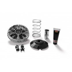 Variador Multivar Malossi Kymco Xciting 400 Euro 4