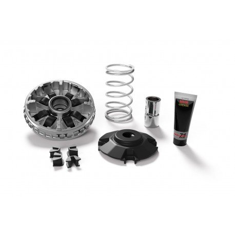 Variador Multivar Malossi Kymco Xciting 400 Euro 4