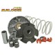 Variador Malossi Multivar 2000 Motor Piaggio 50 4 Tiempos