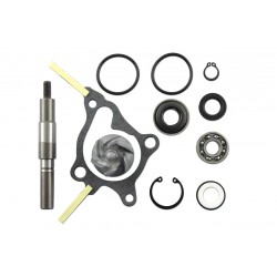Kit reparación bomba de agua Honda Pantheon 250, Foresight 250