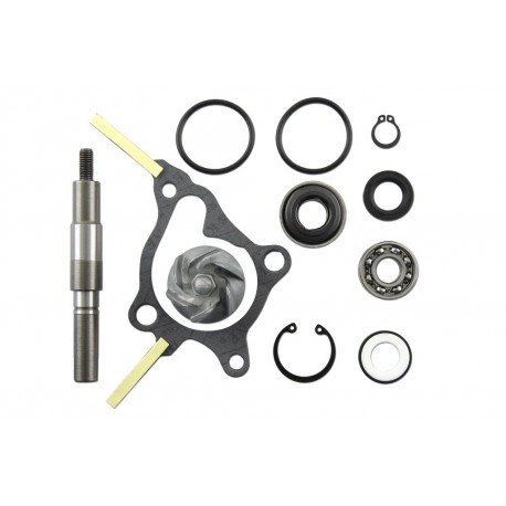 Kit reparación bomba de agua Honda Pantheon 250, Foresight 250
