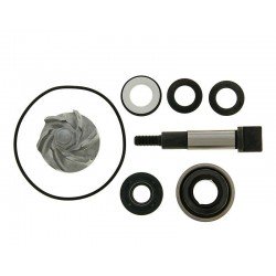 Kit reparación bomba de agua Honda SH 300i desde 007