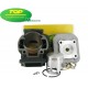 Equipo motor Top Performances Minarelli Vertical Ø47mm. (2T Aire)